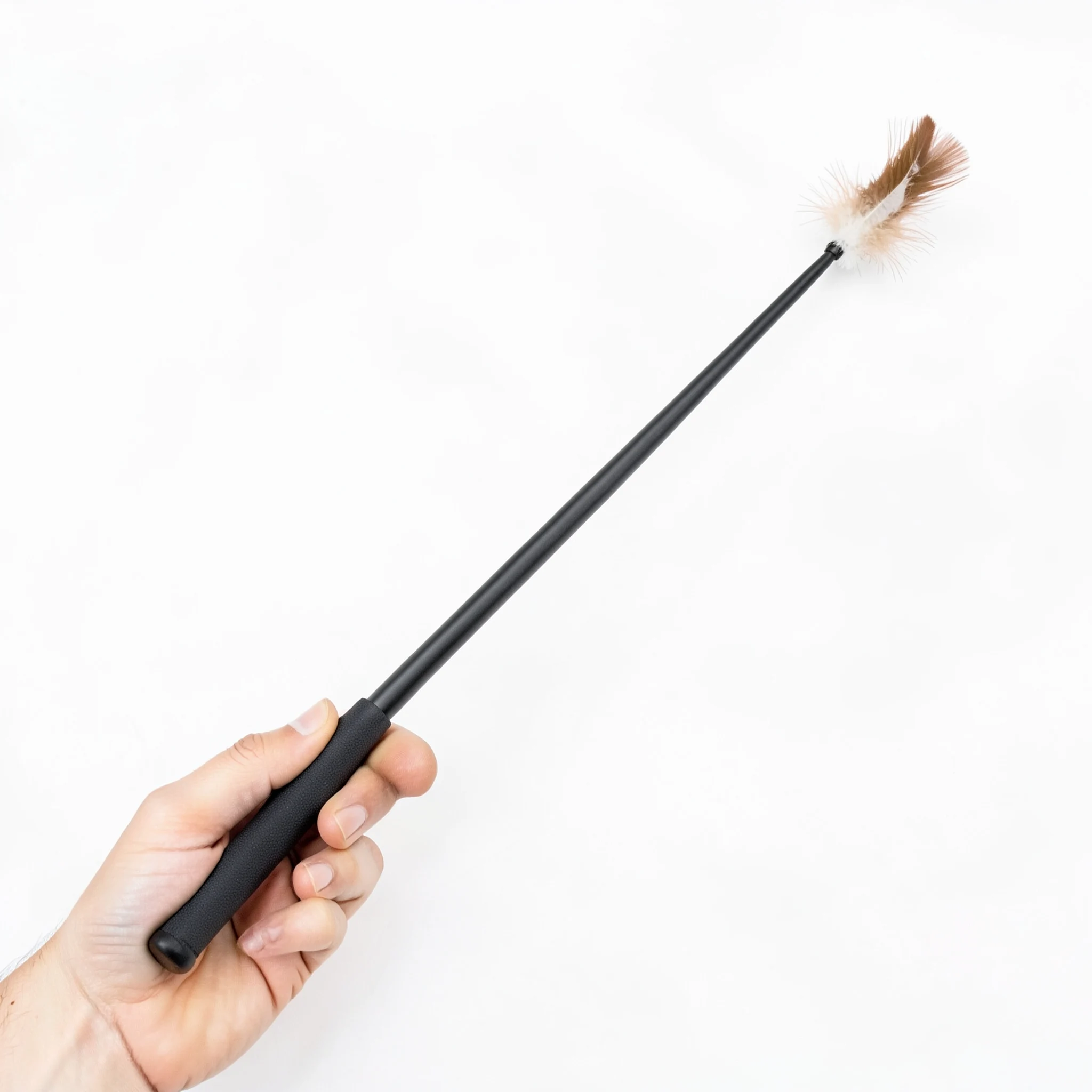 Retractable Cat Teaser Wand - Image 4